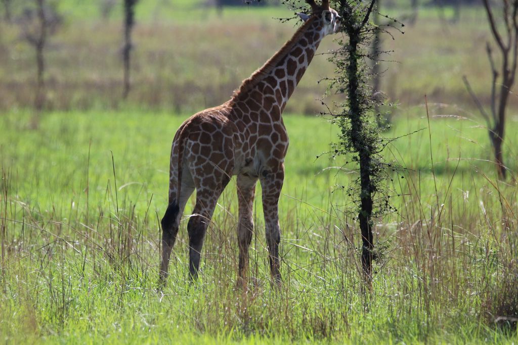 9f518e8b-a6b0-46a8-8f98-7f4aa61e9bee