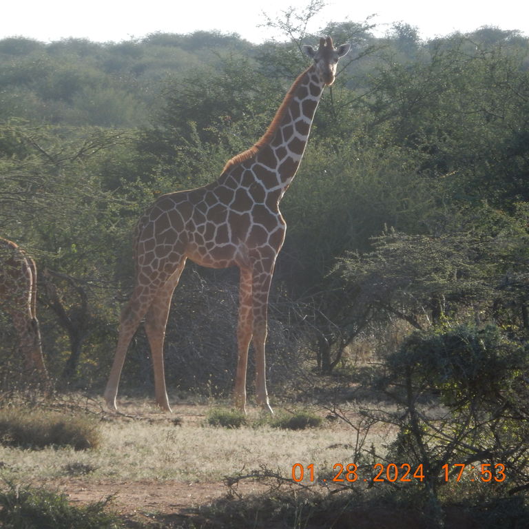 54148756-eb86-45b6-9484-e5ddafd6ee65