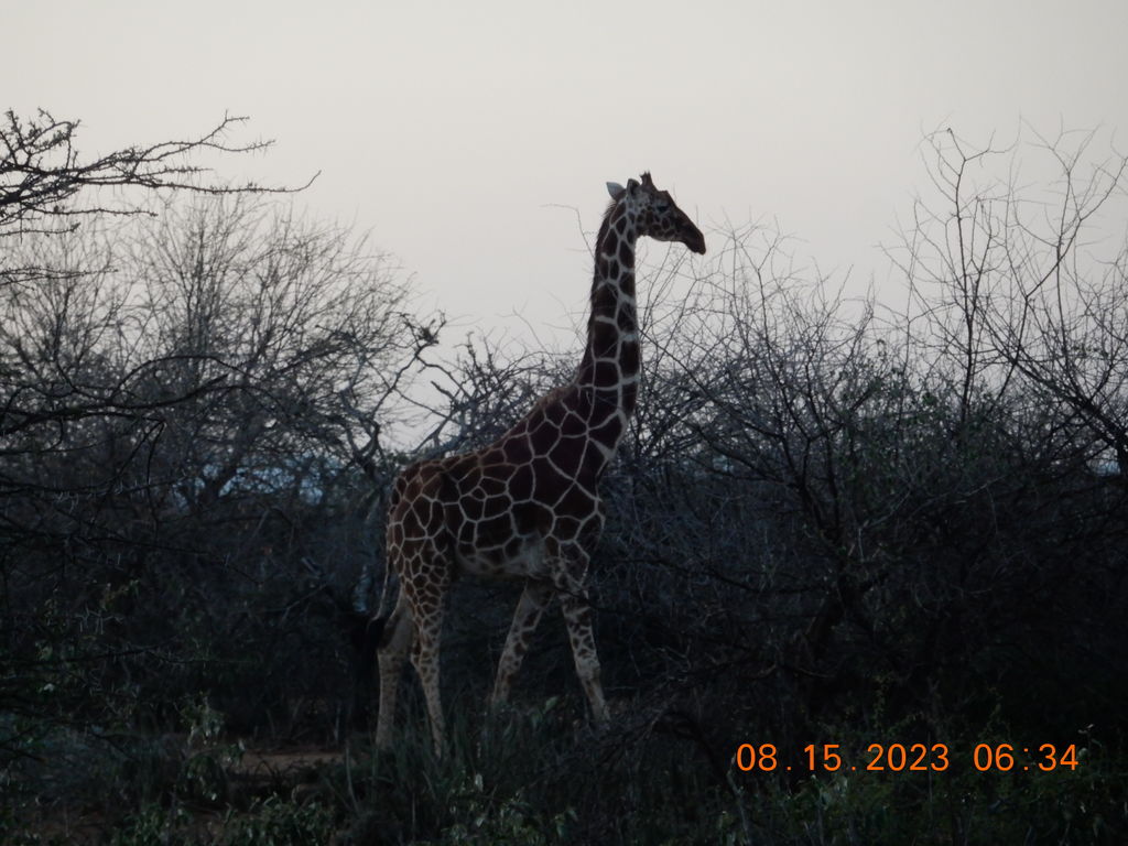 6063d094-36a1-4426-8942-450808a4edba