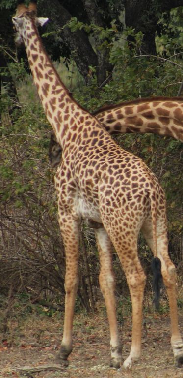 2e2d9709-f2c9-4a04-b44a-42941c0b511d