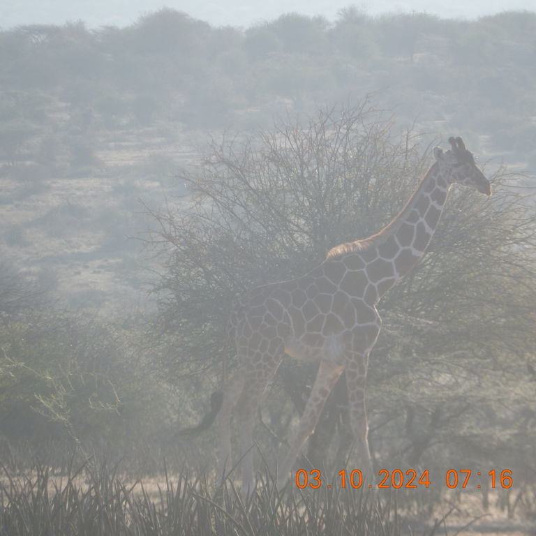 e7d10ee6-09c1-4ee8-8792-0647de2e4176