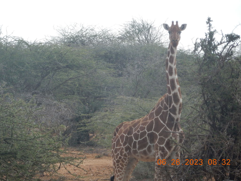 6063d094-36a1-4426-8942-450808a4edba