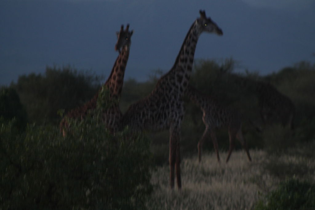 9f8e3609-dd2f-4eea-b6fc-c327d49b1a7a