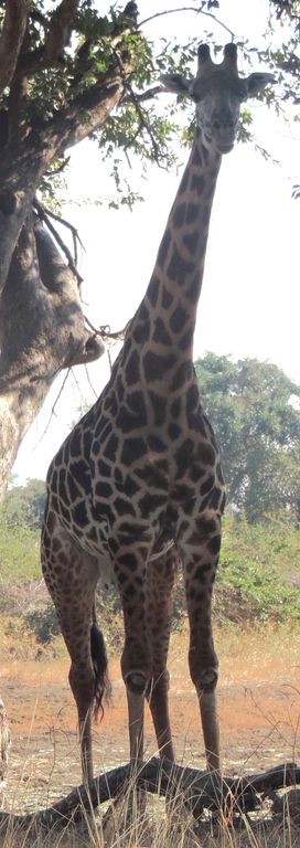 eb6d70e5-6af2-473a-902a-a62f8eb1a98c