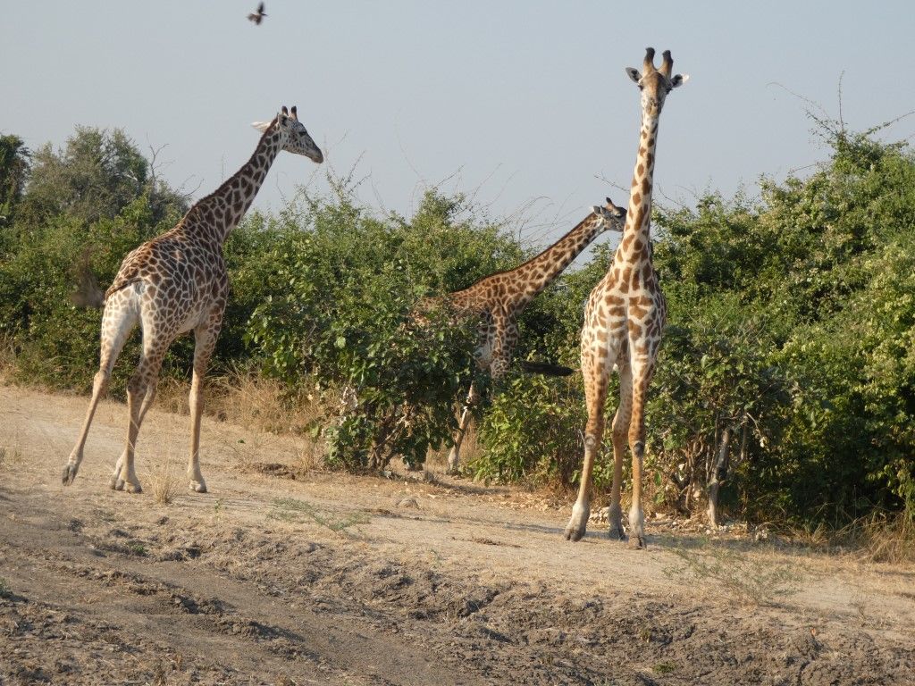 ecd95703-4615-4b63-85d1-02416a8c1b93