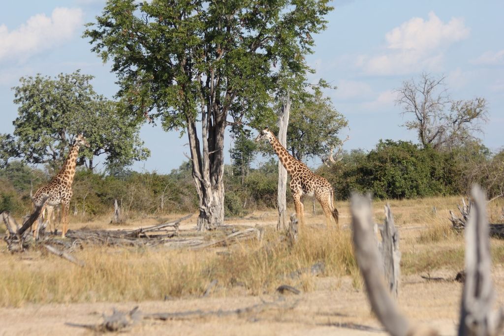 eb6d70e5-6af2-473a-902a-a62f8eb1a98c