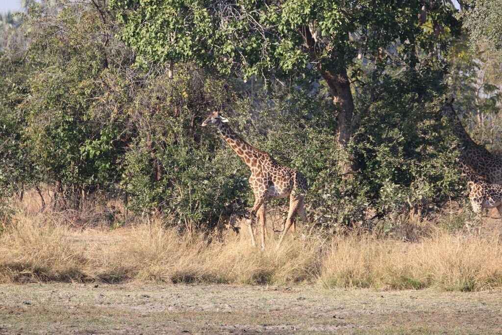 85f330c9-4986-46fe-af4d-243c444cabc7