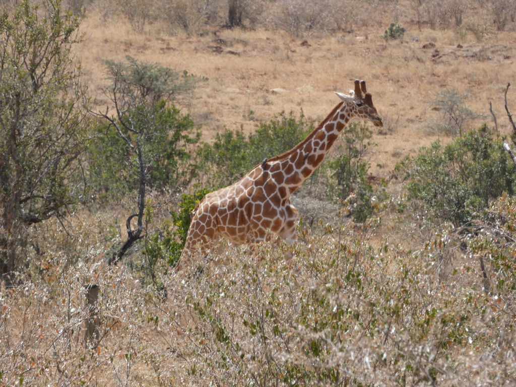 bac04dcf-e5a4-4ea6-9dd7-cb789937997c