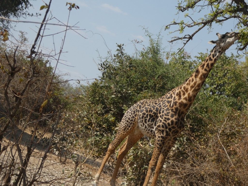 2e2d9709-f2c9-4a04-b44a-42941c0b511d