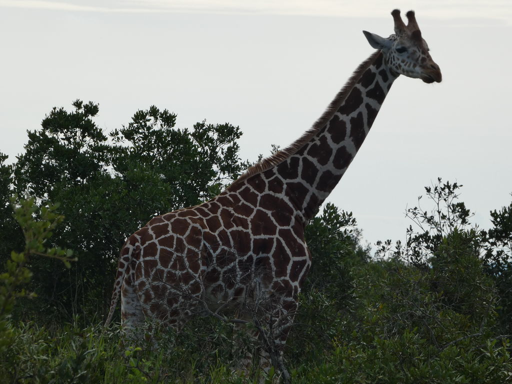 ac6871de-5100-4cbe-9276-eea8848183b4