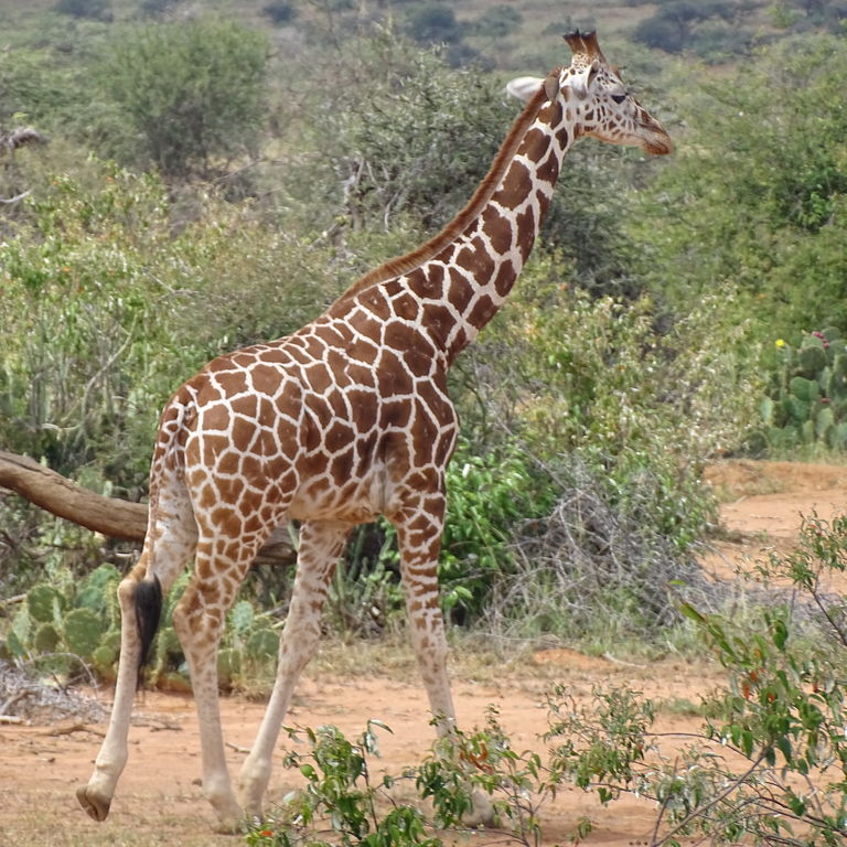 ac6871de-5100-4cbe-9276-eea8848183b4