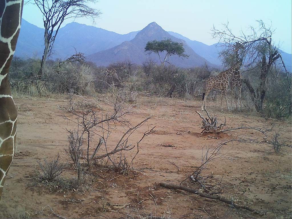 b7bd8dce-f7ec-4ab6-b1db-6cb353fe8a87