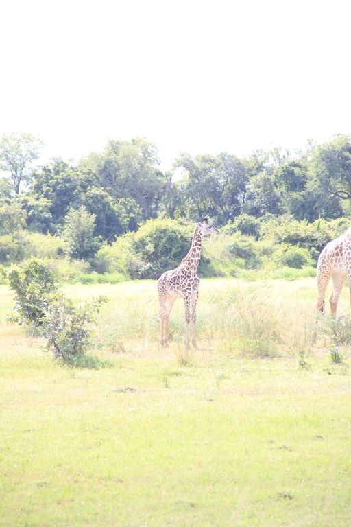 2de0fded-204d-4737-bb66-ddafebba0fba