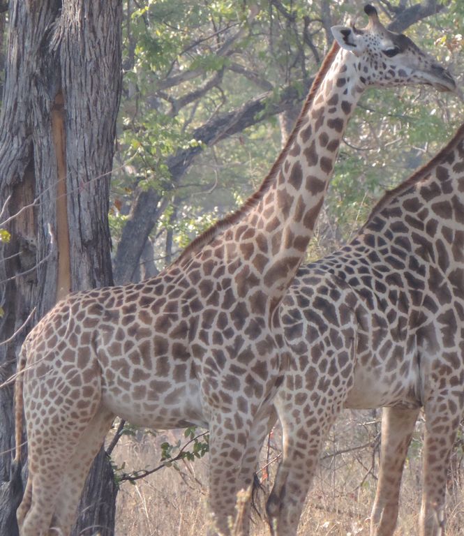 0789c68b-a460-471a-a116-65e7961fa205