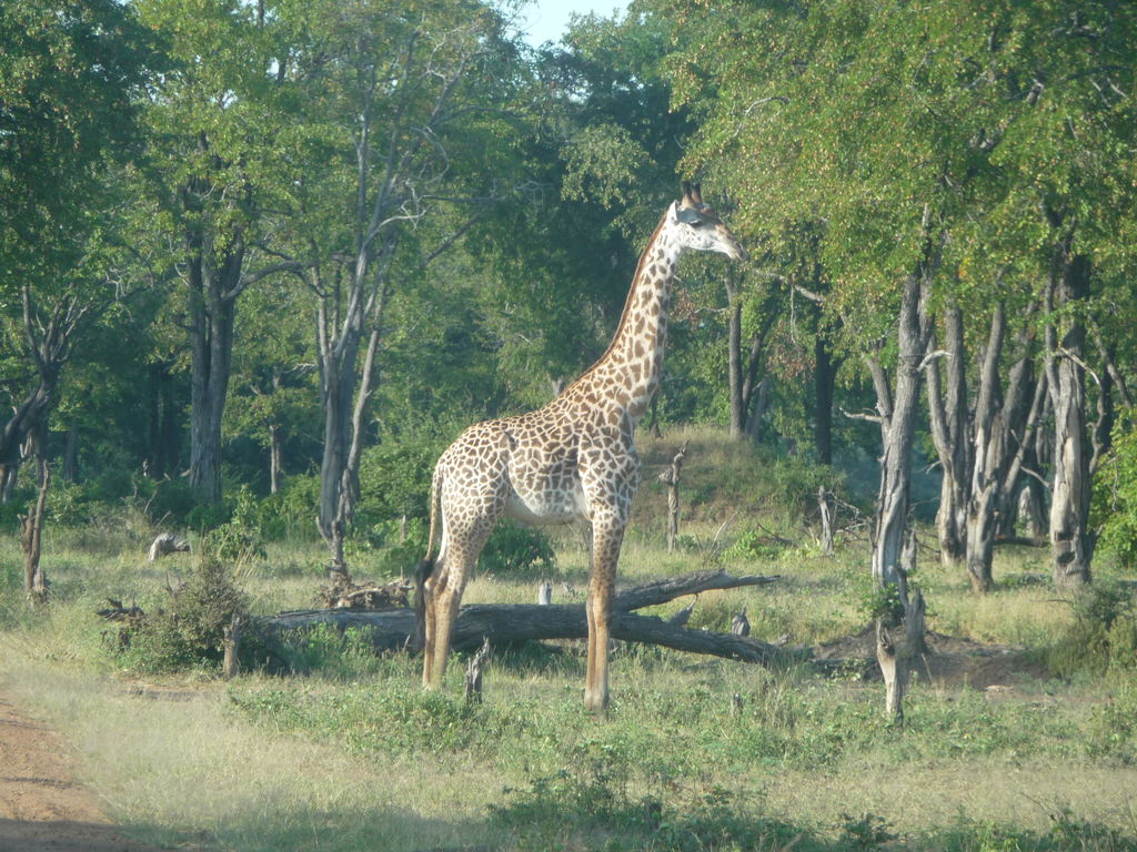 9cb597eb-1835-4a2c-b024-4dee9165f1c4