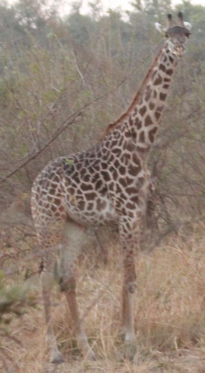 ec22d032-c39a-46e8-9213-02e56f8a0205