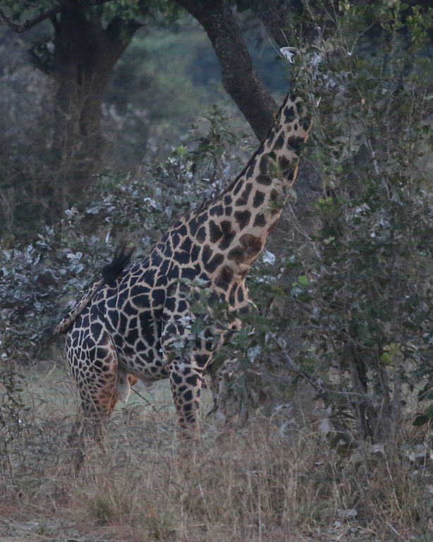 ef78987b-166d-4a4a-afd4-90d48585f17a