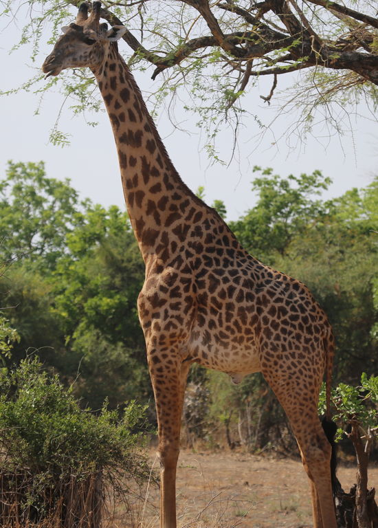 4ee1756c-aa64-490a-b479-da2557458f27