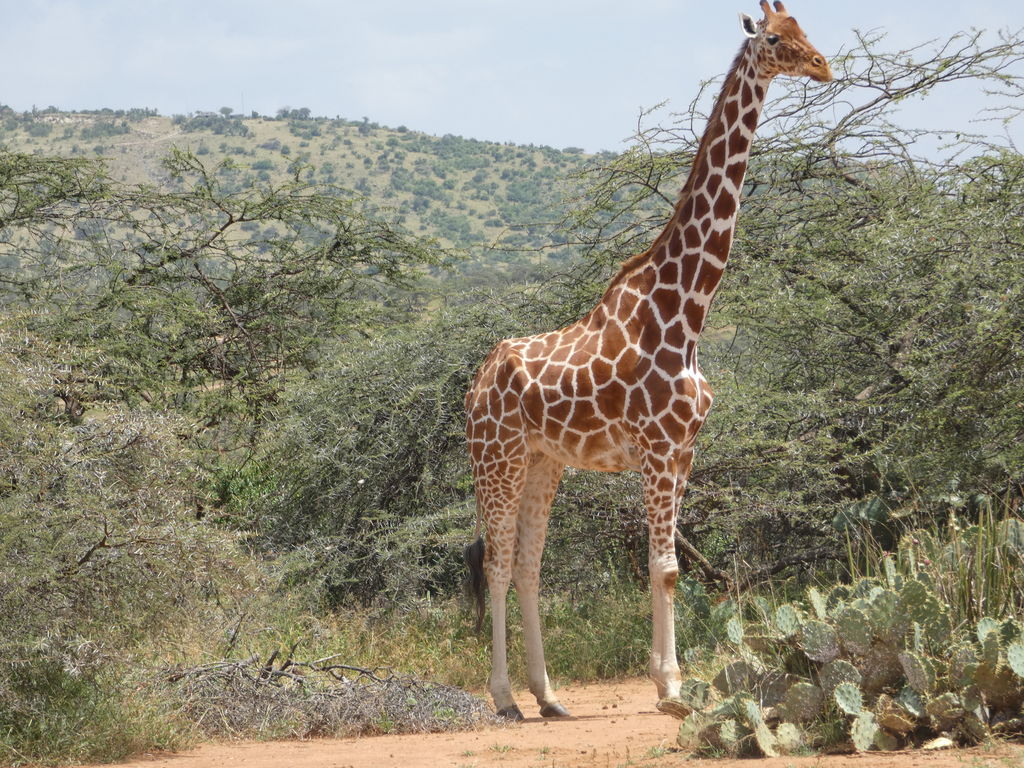 8d744550-7c29-4675-84b4-10c3b119efe7