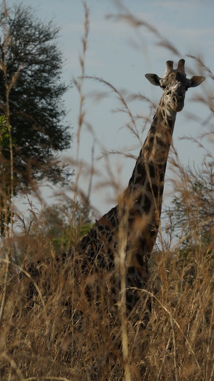 02d6bcf5-fd17-460e-b8f1-3d1913f9ea2f