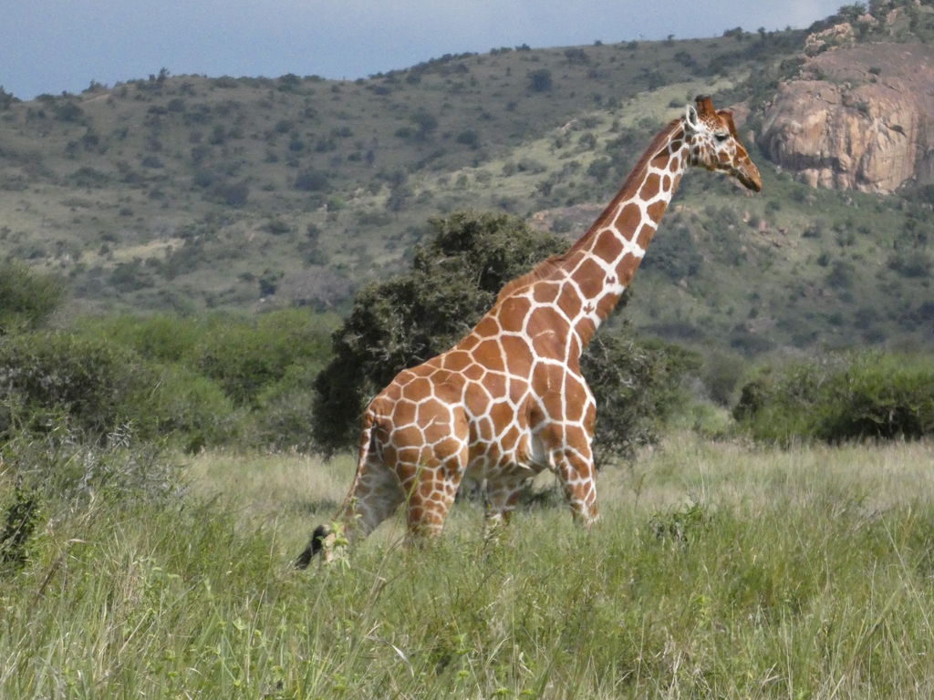 8b3a2d12-b470-4227-a6e9-e6daf88f1d6a