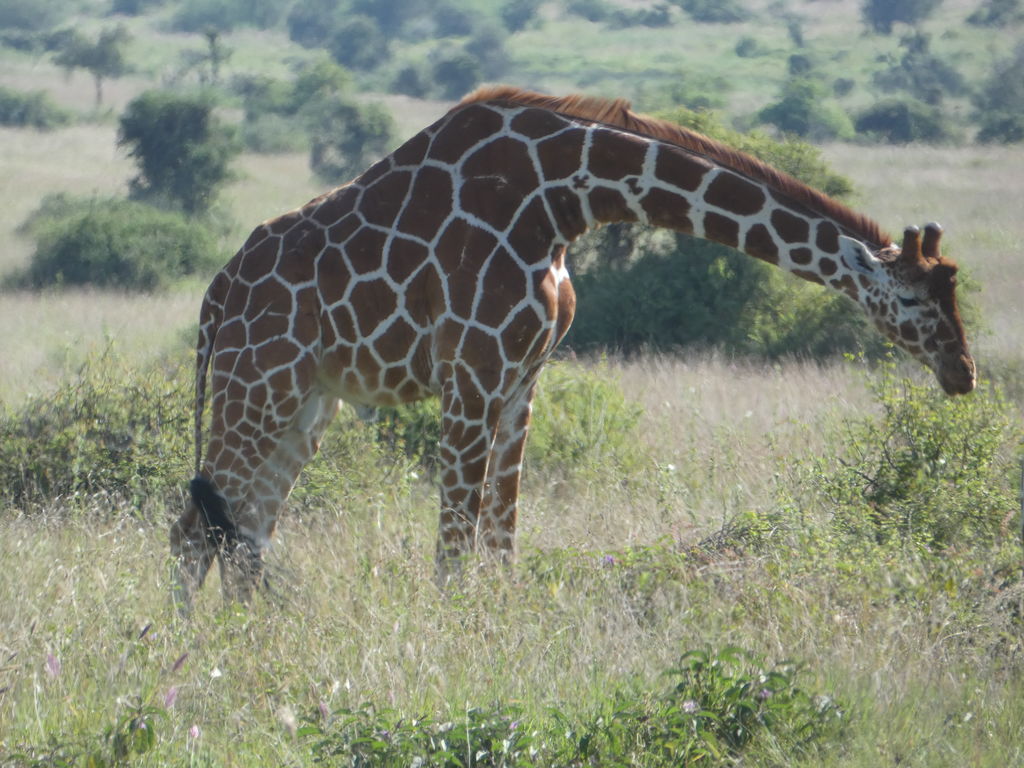 8b3a2d12-b470-4227-a6e9-e6daf88f1d6a