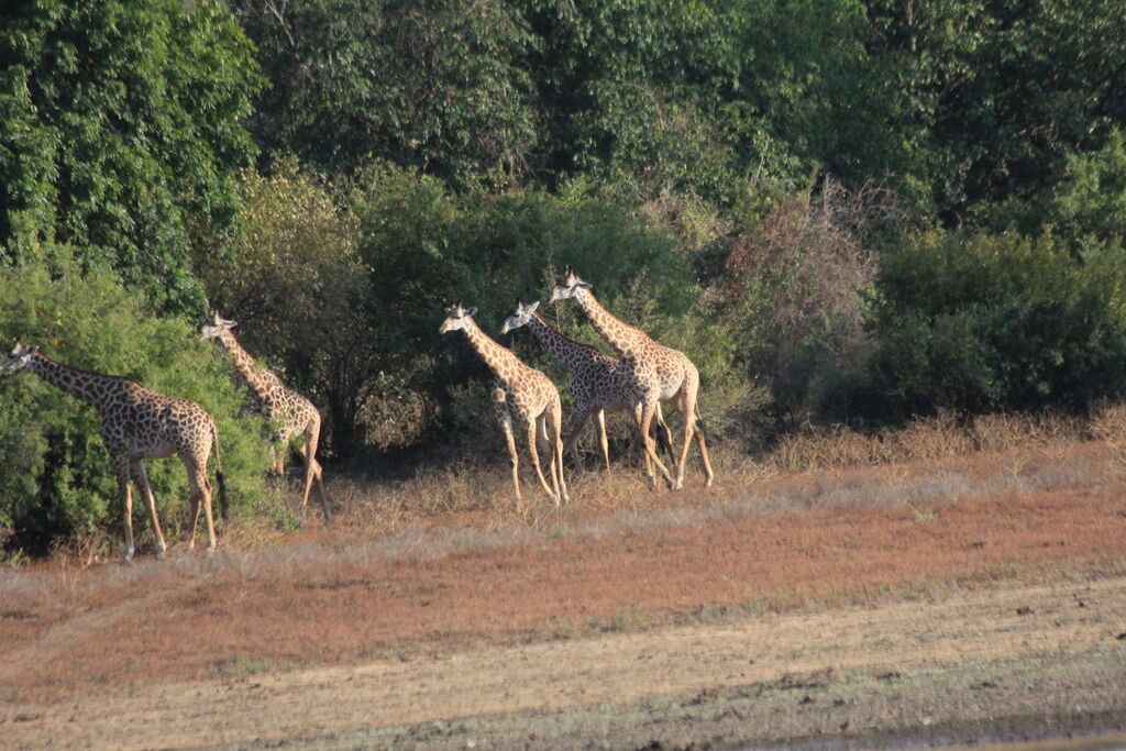 81f0ad53-c790-4e66-b64e-22b6a5d44fb2