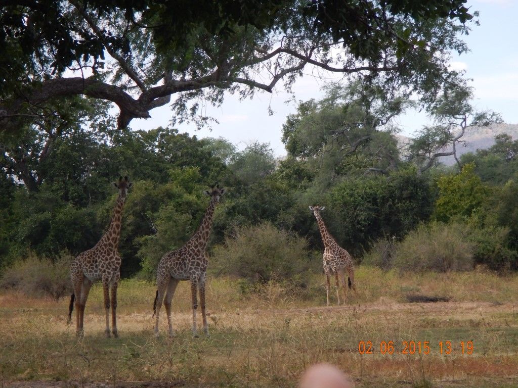 faf0bb12-6323-4ff9-81ae-fe4cb489fa9d