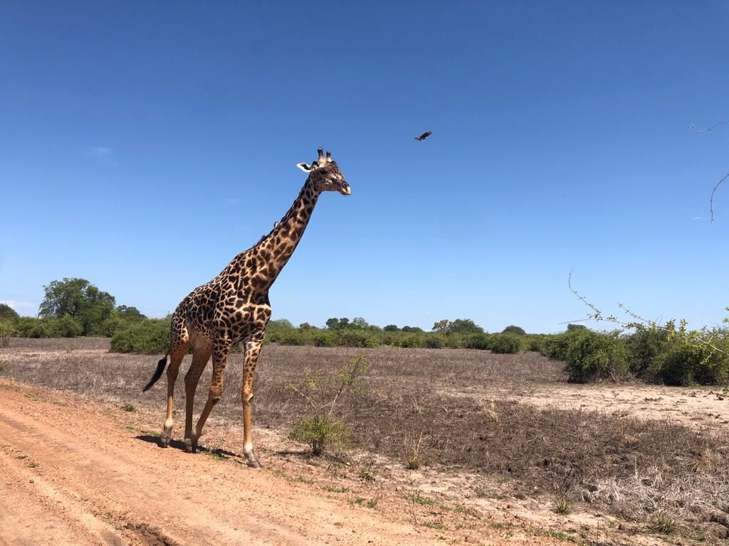 2e2d9709-f2c9-4a04-b44a-42941c0b511d