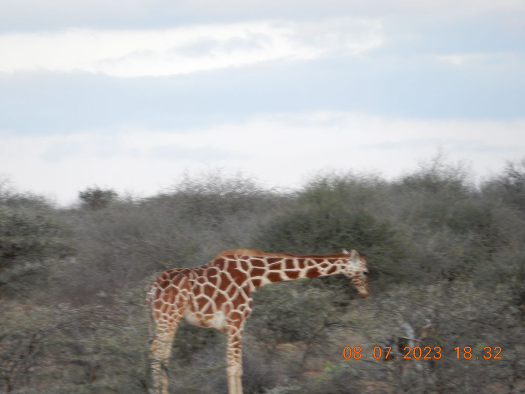 81b7b339-3570-4701-bf12-f850e57a0030