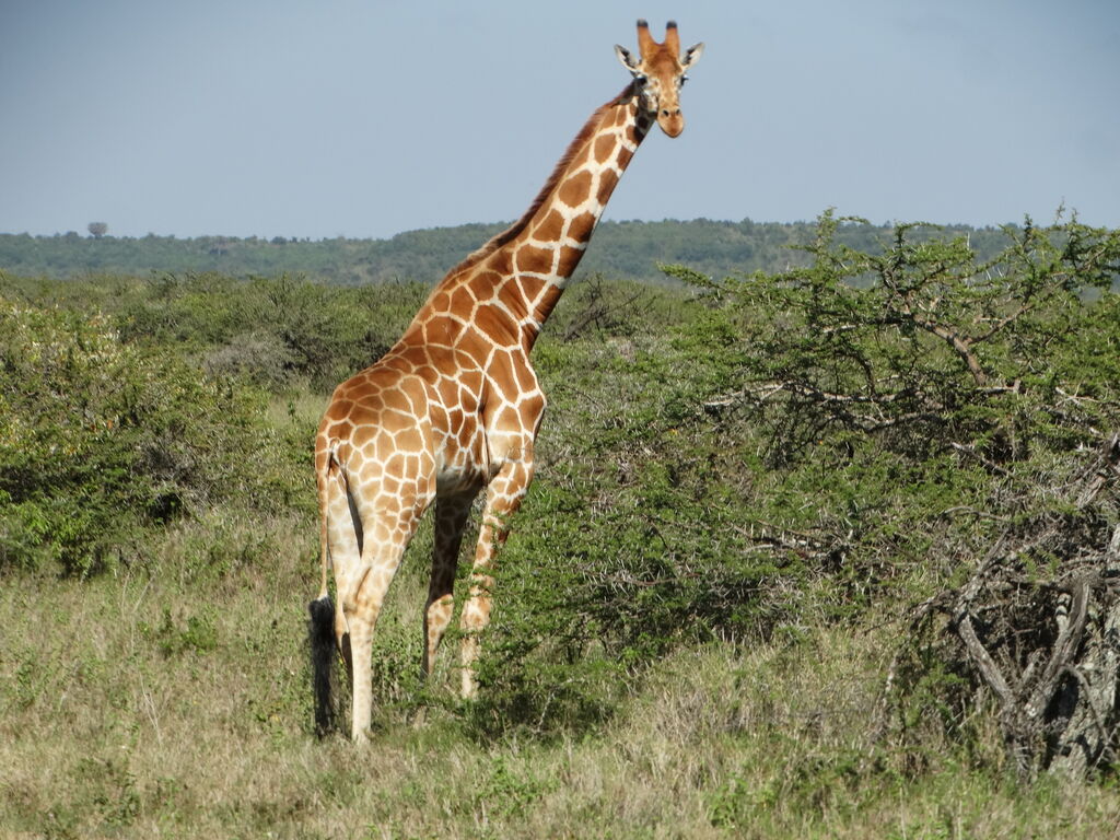 c24ce6ca-aa15-43b0-bd95-eade0f8ad9a3