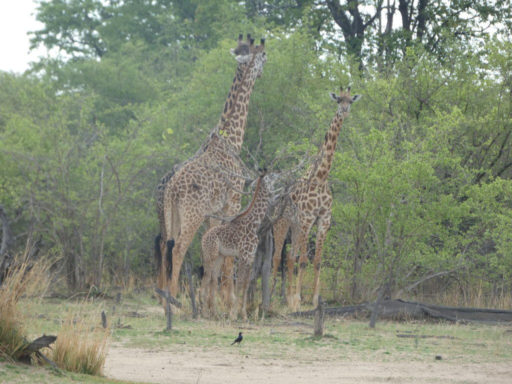 8969c91d-799f-409c-bd16-f962d07dbd74