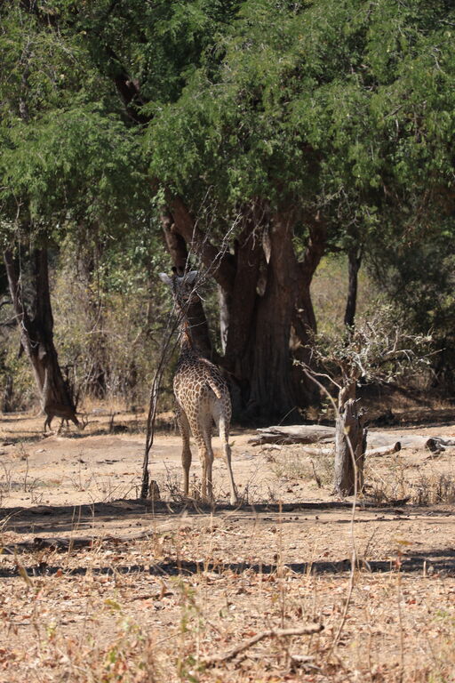 8f66ba4b-1748-402e-be1d-3d905c8d474c