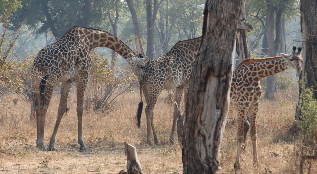 ec063b59-11e4-48cf-b853-9d8d88c46839