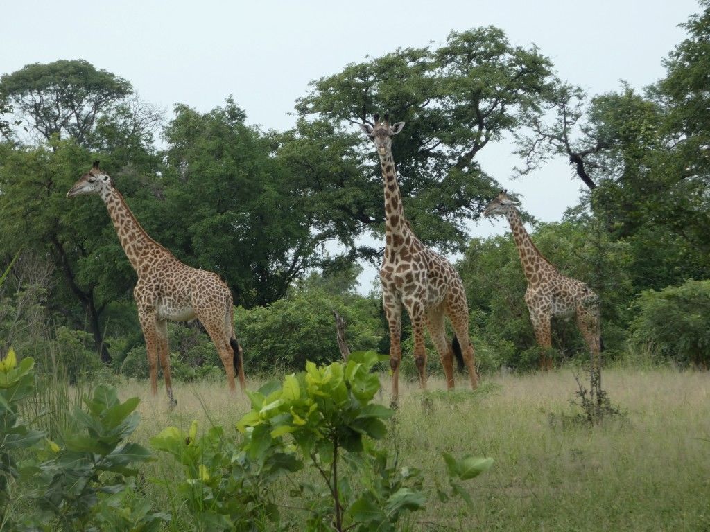 9cb597eb-1835-4a2c-b024-4dee9165f1c4