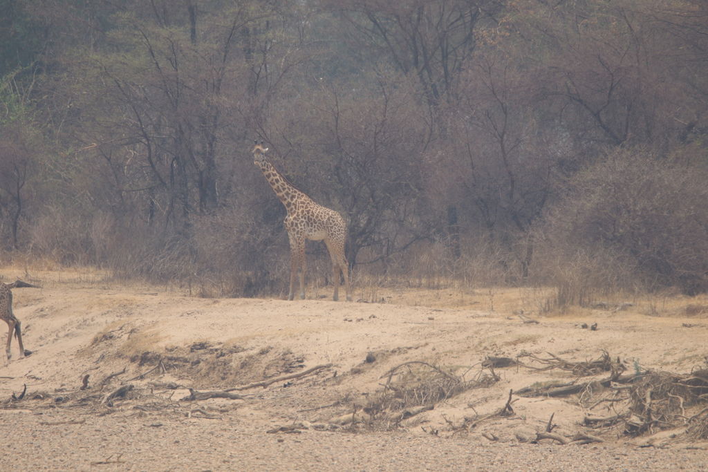 78945f73-e9f6-492c-aa12-91e2c14b21a9