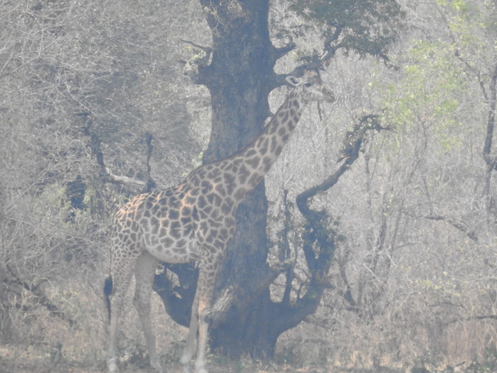 450878f3-8147-4407-a0d4-02ed4624bbde