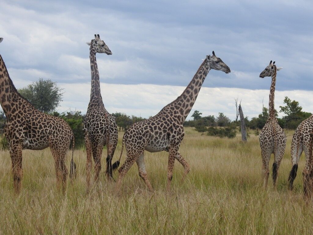 06c995d3-5e4e-4b6e-afb5-0a5bb3409f6e