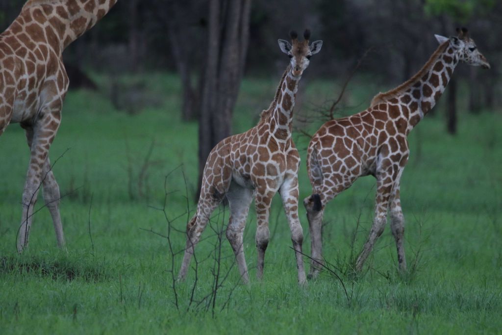 9f518e8b-a6b0-46a8-8f98-7f4aa61e9bee