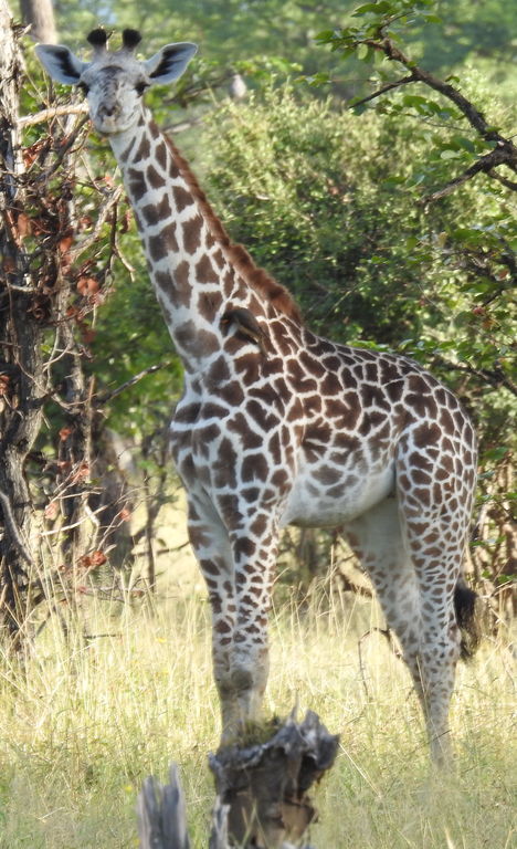 94816dbd-fa7d-4088-a90c-8715ecd8207c