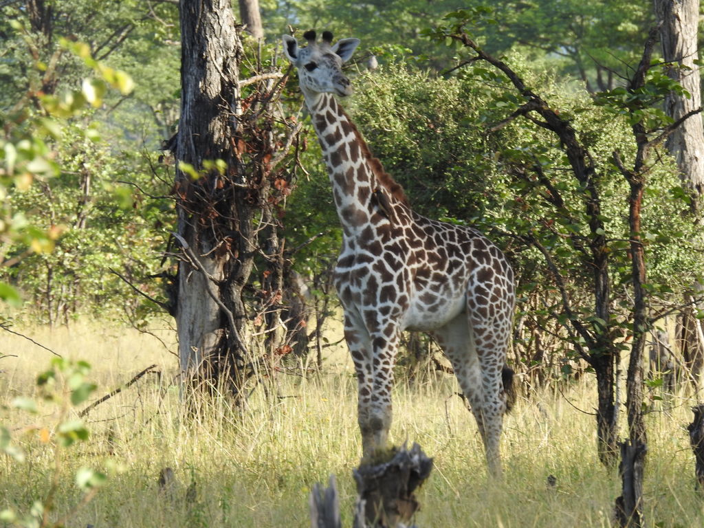 94816dbd-fa7d-4088-a90c-8715ecd8207c