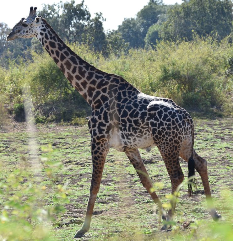 b3b9edb0-dbd9-4169-a6b6-bf8aadc168c4