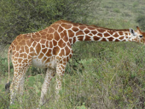 8d744550-7c29-4675-84b4-10c3b119efe7