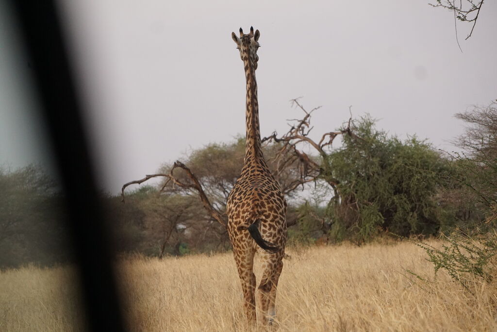 4734fb2c-3742-41eb-9279-8f649a9184e3