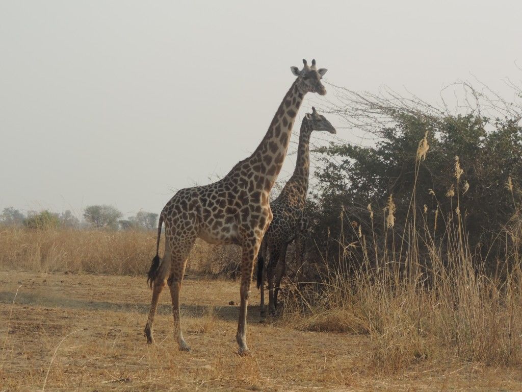 0789c68b-a460-471a-a116-65e7961fa205