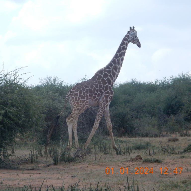 55c7dc1d-8d45-49ad-9506-e6ee3ae06060