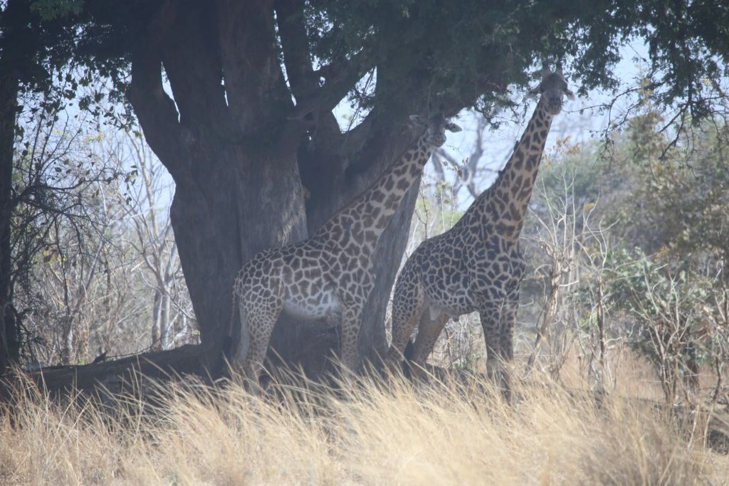 2e2d9709-f2c9-4a04-b44a-42941c0b511d