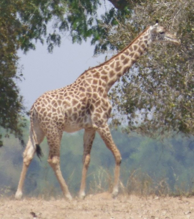 d7806e09-b2ea-4bd5-bd08-9dc2e26f394e