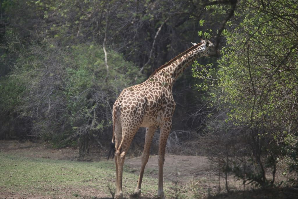 dcc3dd45-8fda-4269-82f4-0eff3bed2b0d