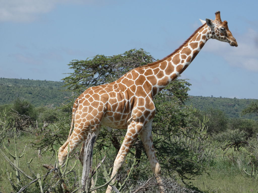 bac04dcf-e5a4-4ea6-9dd7-cb789937997c